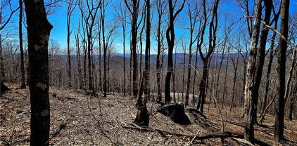 Lot 78 Elk Creek Mountain Parkway, Todd