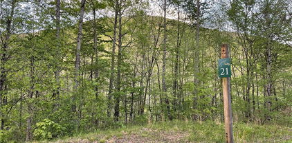 TBD Lot #21R Pinnacle Ridge, Todd