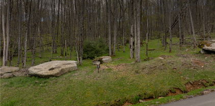 ES-97 Twisted Oak Path, Banner Elk
