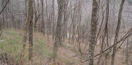 Lot 56 Toms Knob Road, Sparta