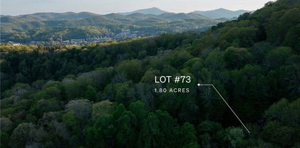 Lot 73 Dwarf Iris Lane, Boone