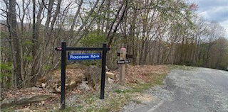 107 Raccoon Road, Beech Mountain