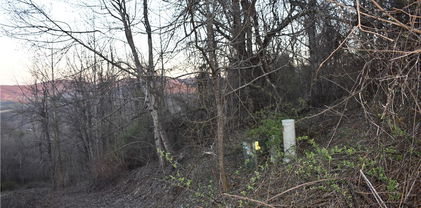 Lot #59 Tom's Knob Unit 59, Sparta