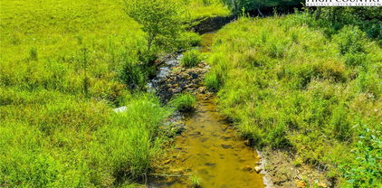 2B Mica Creek, Todd