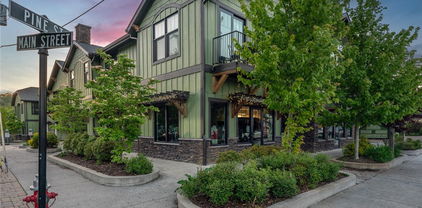 1150 Main Street Unit Dogwood, Blowing Rock