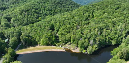1772 Ripshin Mountain Road, Roan Mountain