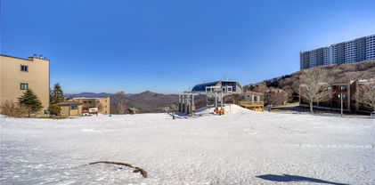 104 Sugar Ski Drive Unit 422, Sugar Mountain