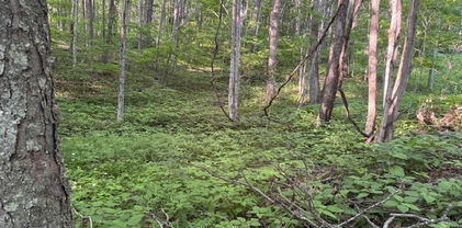 Lot 58 Beechwood Circle, Creston