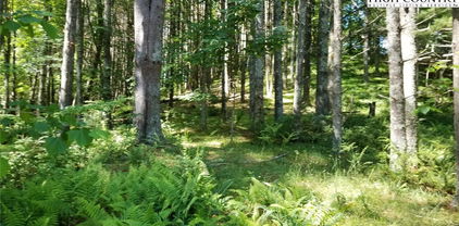 Lot 16 Woodland Drive Unit 16, Piney Creek