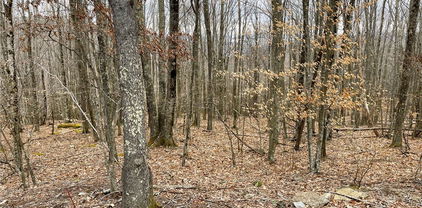 222 Wild Daisy Lane, Beech Mountain