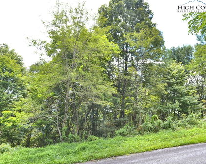 TBD Holiday Lane, Whitetop