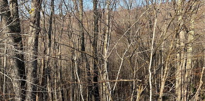 134 Lower Snowbird Trail, Beech Mountain