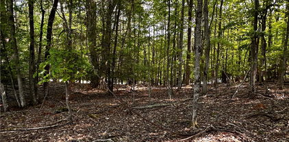 805 Pine Ridge Road, Beech Mountain