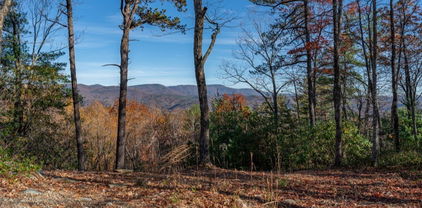 223 Red Cedar Road, Boone