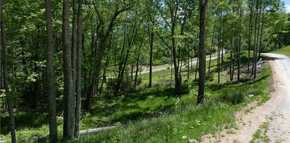WR33 Sierra Trail, Elk Park