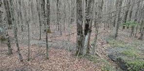 309 Pine Ridge Road, Beech Mountain