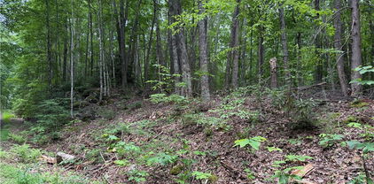 TBD Red Clover, Beech Mountain
