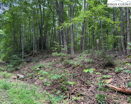 TBD Red Clover, Beech Mountain