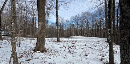 Lot 63 Elk Creek Mountain Parkway, Todd