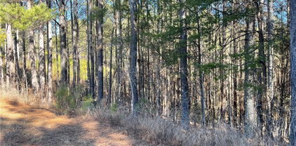 109 Shortoff Trail, Valdese