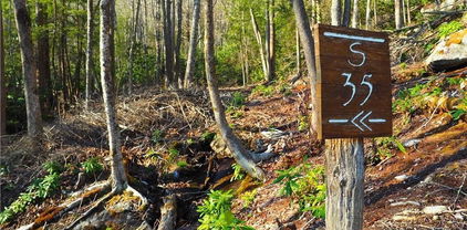 S35 Sky Rock Drive, Banner Elk