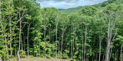 C-109 Mossy Bark Trail, Banner Elk