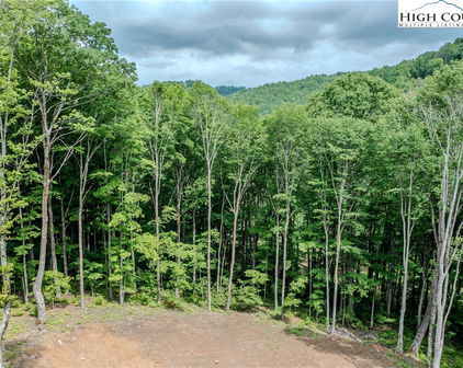 C-109 Mossy Bark Trail, Banner Elk