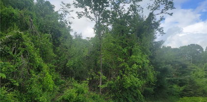 TBD Holly Hill Drive, Sparta