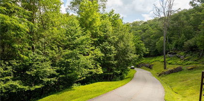 TBD Lot 124 Firethorn Trail, Blowing Rock