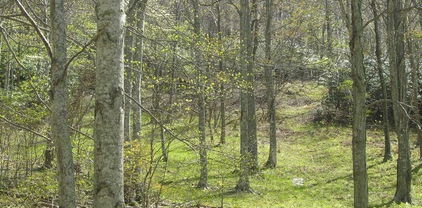 tbd Bob's Mountain Road, Boone