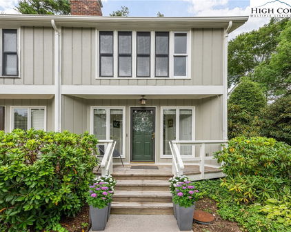 123 Pinnacle Avenue Unit 1, Blowing Rock