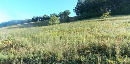 Lot 29 Hartley Knob, Boone