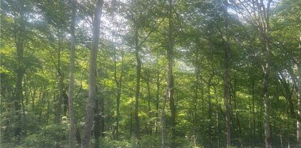 TBD Grouse Moor Drive Unit LOT 152, Sugar Mountain