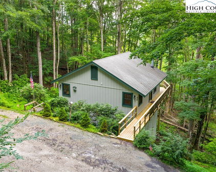 121 Hollow Tree Road, Beech Mountain