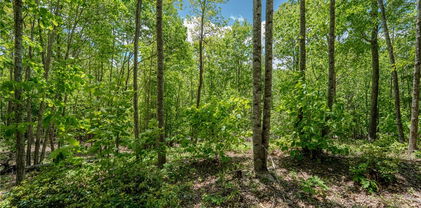 Beaver Dam Road, Elk Park