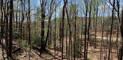 TBD Elk Ridge Road, Deep Gap