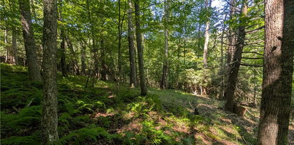 TBD Sharon Sweeney Road, Crumpler