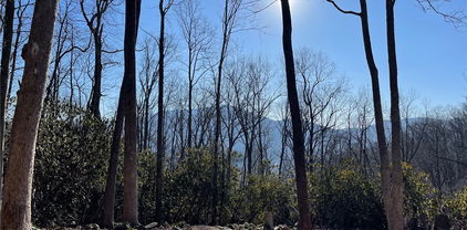 17 Jackson Ridge Road, Boone
