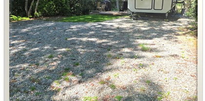 251 Teaberry Lane, Newland