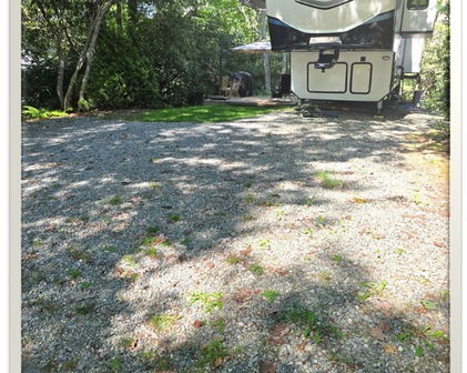 251 Teaberry Lane, Newland