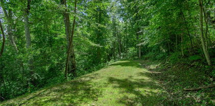 153 Linville Oaks Drive, Linville