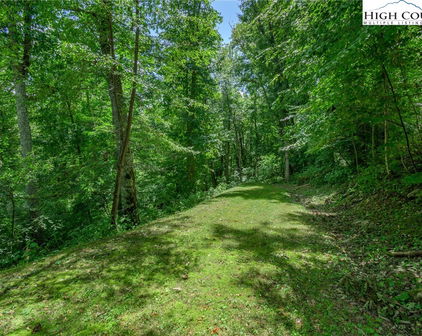 153 Linville Oaks Drive, Linville