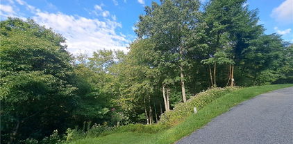 131R Firethorn Trail, Blowing Rock