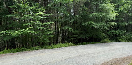 TBD (Lot 62) Dave's Connector Road, Jefferson