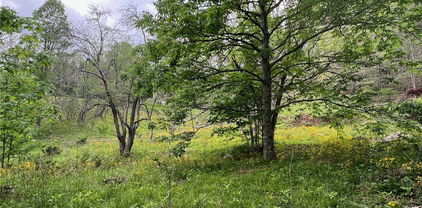 TBD Old Hartley Road, Banner Elk