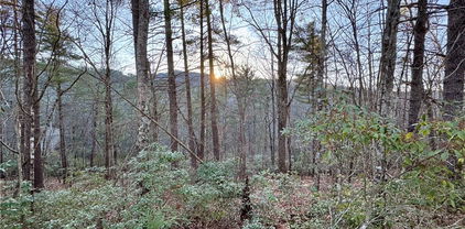 TBD Roaring Ridge Road, Deep Gap