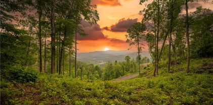 Lot 31 Mount Mitchell Overlook, Spruce Pine