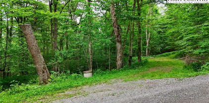 233 Woodland Springs Trail, Boone