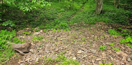 TBD Cow Camp Road, Newland