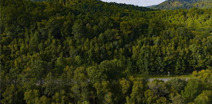 Lot C3 Bear Paw Road, Elk Park